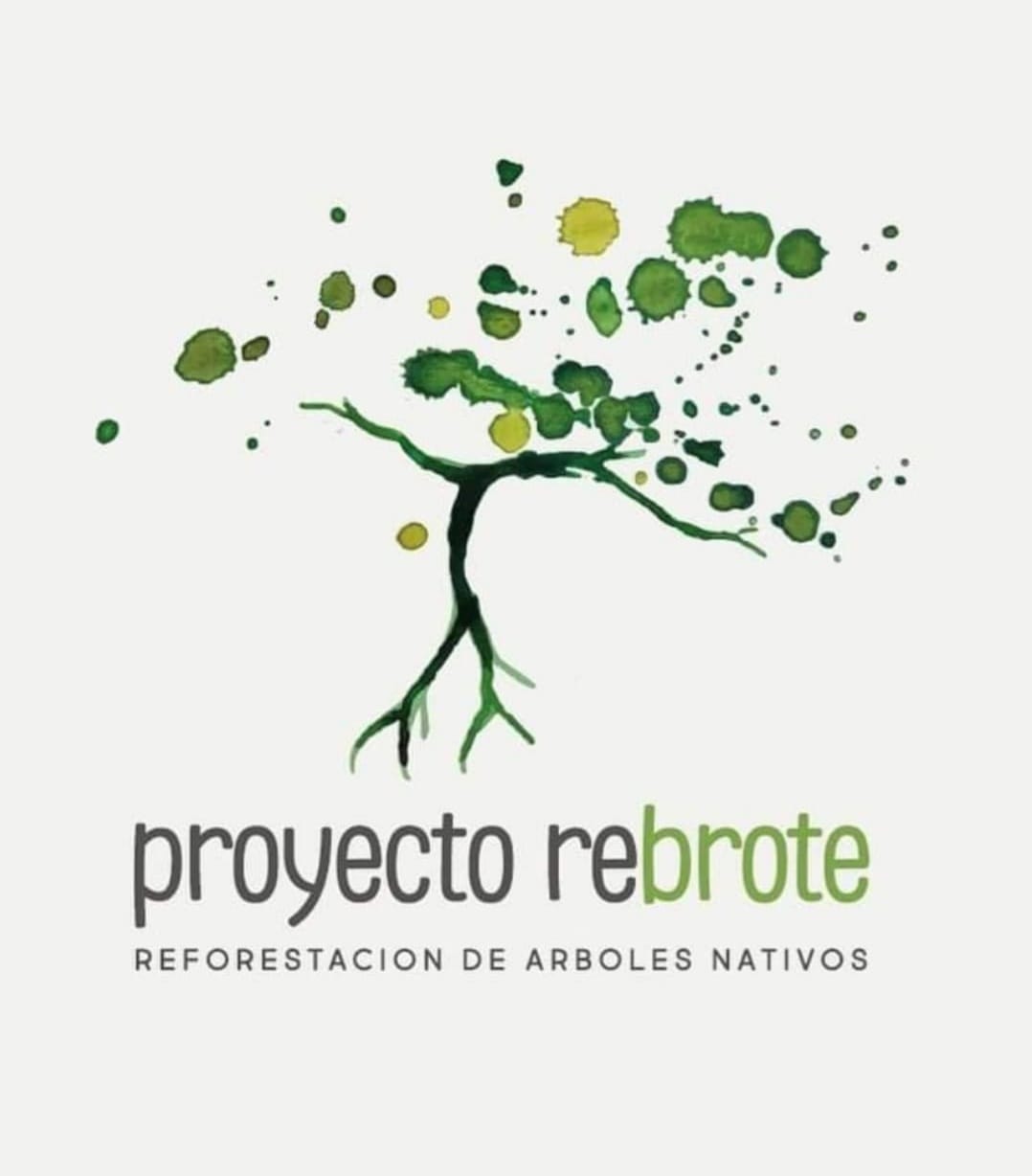 Proyecto Rebrote