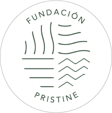 Fundación Pristine