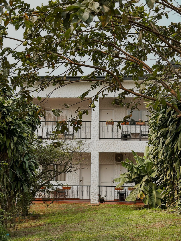 Mediterraneo suites