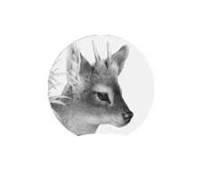 Amigos de la Patagonia